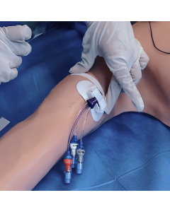 Habilitação em PICC e Acesso Venoso com USG