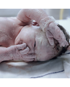 Habilitação em Partograma