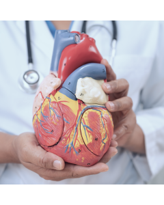 Enfermagem em Emergência Cardiovascular