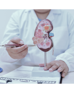 Sistema Renal e Métodos Dialíticos em Neonatologia e Pediatria