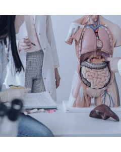 Sistema Respiratório e Gastrointestinal em Neonatologia e Pediatria